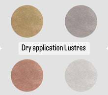 Load image into Gallery viewer, Jenna Rae Cakes - DAZZLE DUST -EDIBLE Lustre Dusts