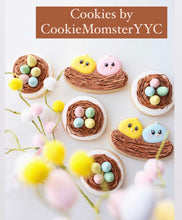 Load image into Gallery viewer, Baby Chicks In Nest