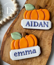 Load image into Gallery viewer, Pumpkin 4 with Plaque