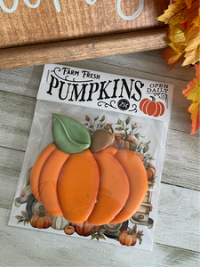 Pumpkin Patch - 6" x 5" Folded Backers