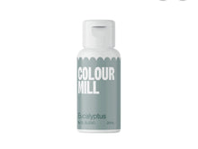 Load image into Gallery viewer, Colour Mill Oil Blend 20ml