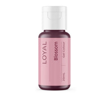 Load image into Gallery viewer, Loyal Gel Food Colours 20ml jars