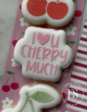 Load image into Gallery viewer, 3 PIECE -Mini Stencils (I LOVE U CHERRY MUCH &amp; CHERRIES )