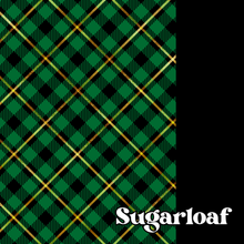 Load image into Gallery viewer, Green &amp; Gold Plaid Box (Gold Foil) - 8&quot; x 5&quot; x 1.25&quot;