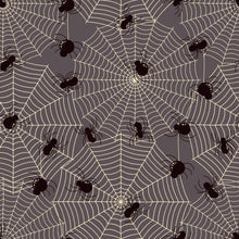 Load image into Gallery viewer, Spider Webs Box- 12" x 5" x 1.5" (JUST IN!)