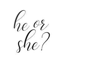 He or She Plaque