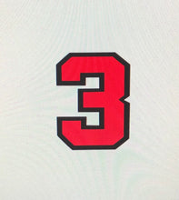 Load image into Gallery viewer, Varsity Team Numbers